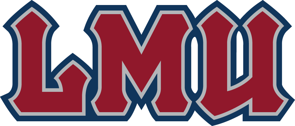 Loyola Marymount Lions 2008-2018 Wordmark Logo diy iron on heat transfer